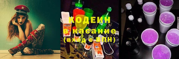 прущие грибы Абаза