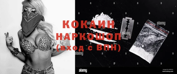 прущие грибы Абаза