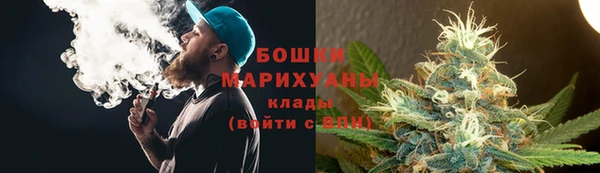 прущие грибы Абаза