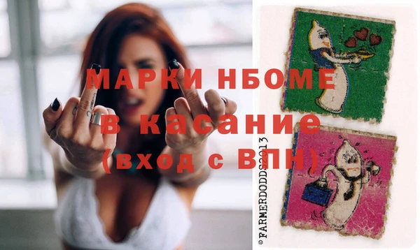 прущие грибы Абаза
