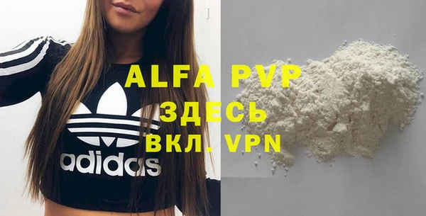 прущие грибы Абаза