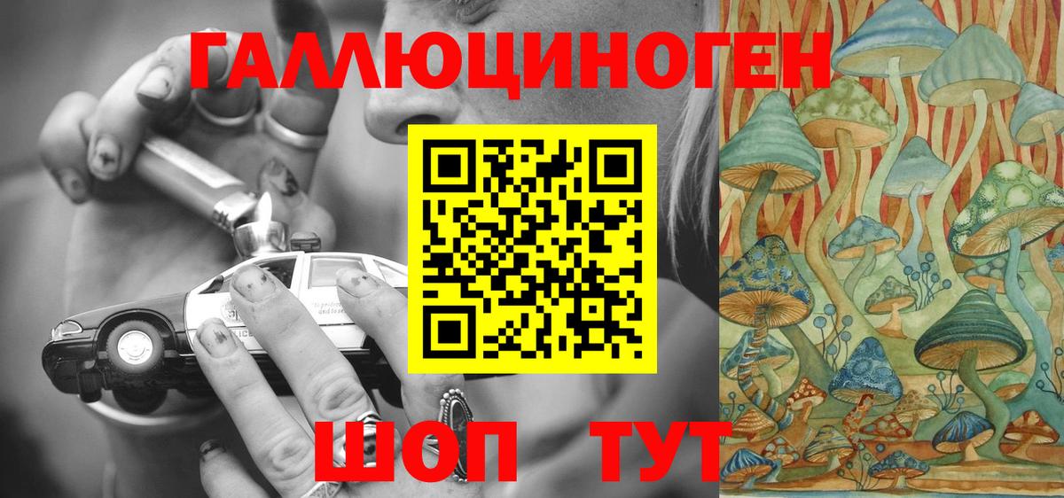 Галлюциногенные грибы Psilocybe Благодарный