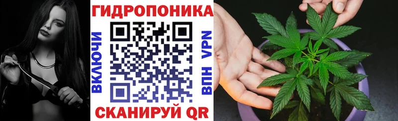 мориарти как зайти  Благодарный  Шишки марихуана VHQ  ОМГ ОМГ как зайти 