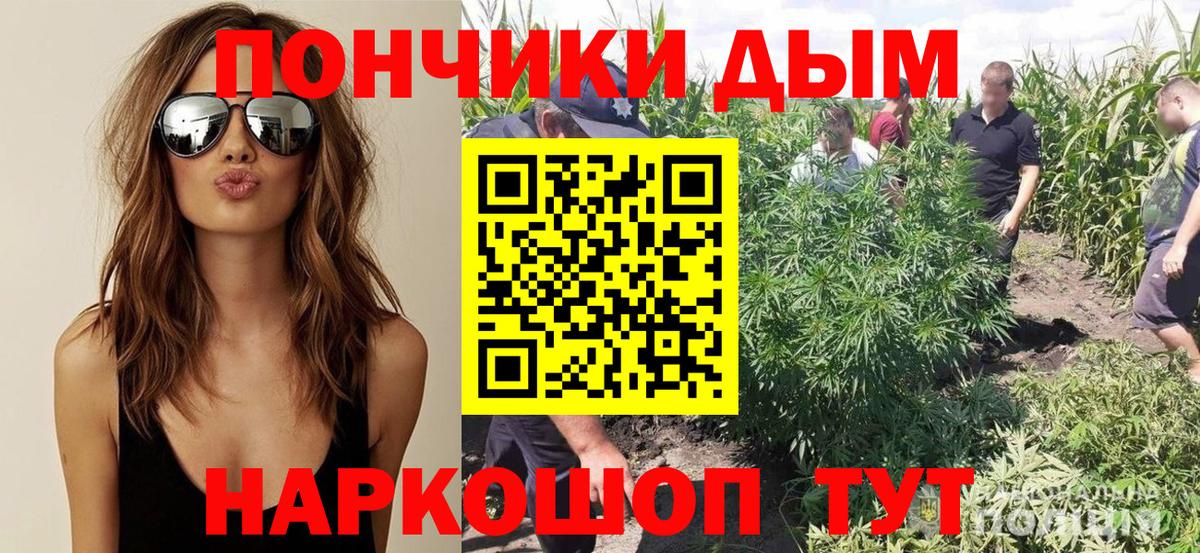 Каннабис индика  Каннабис индика  Марихуана Ganja  Благодарный  Бошки Шишки MAZAR  Вход с VPN 